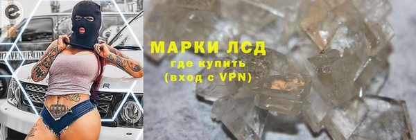 крисы Абаза