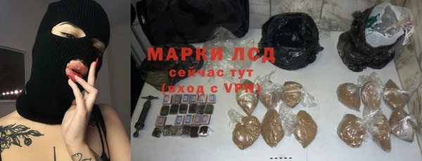крисы Абаза