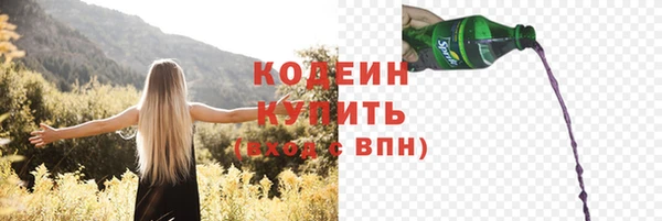 крисы Абаза
