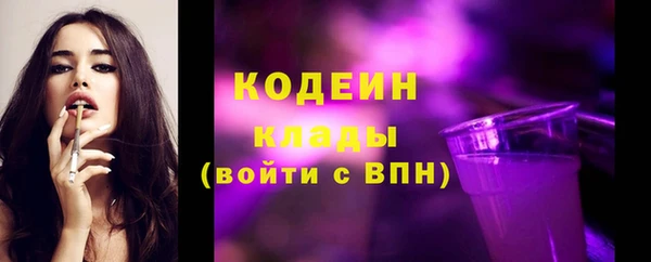 крисы Абаза