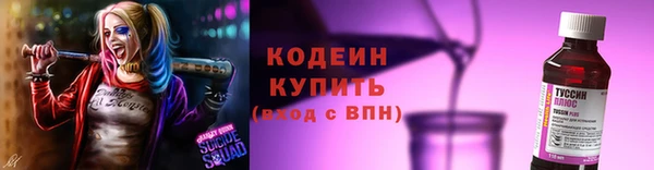 крисы Абаза