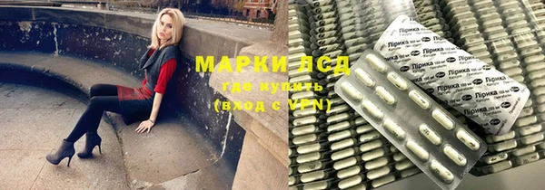 крисы Абаза