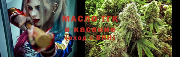 крисы Абаза