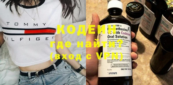 крисы Абаза