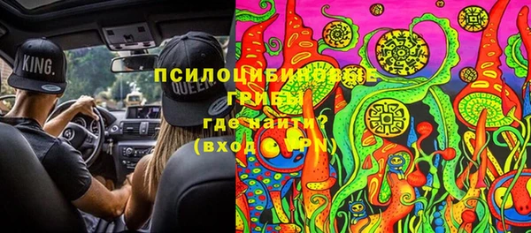 крисы Абаза