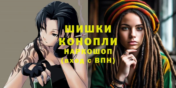 крисы Абаза