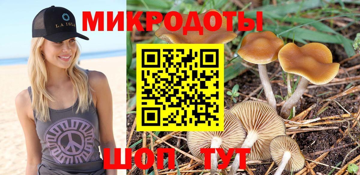 Екатеринбург  Псилоцибиновые грибы Psilocybe  Галлюциногенные грибы Psilocybe  Вход с VPN 
